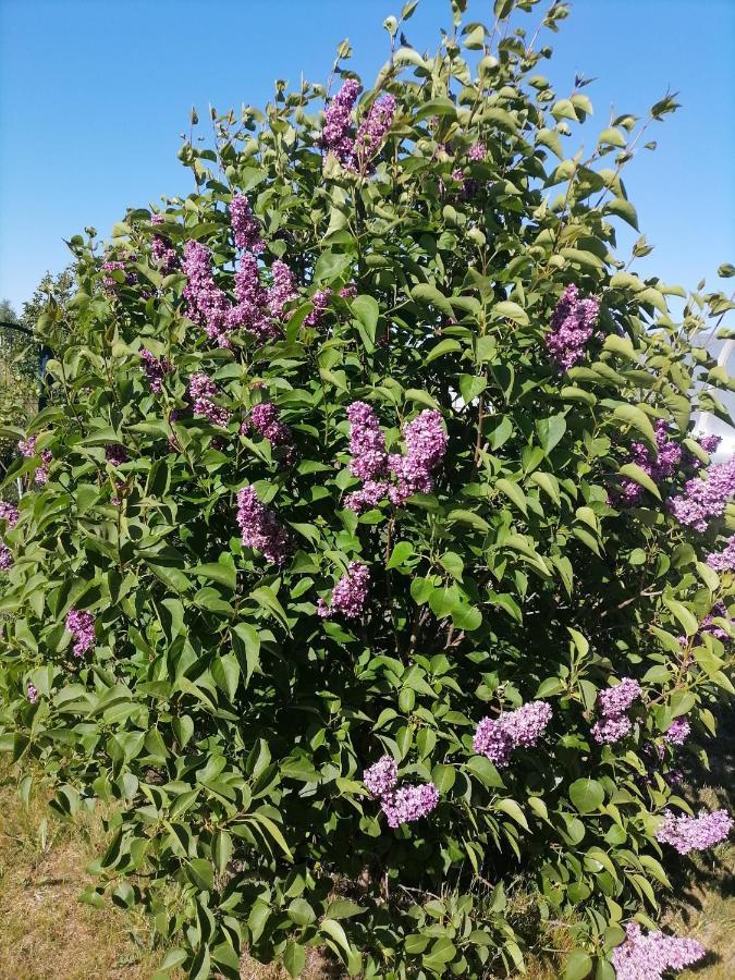 הוילה Namelis Karkleje מראה חיצוני תמונה